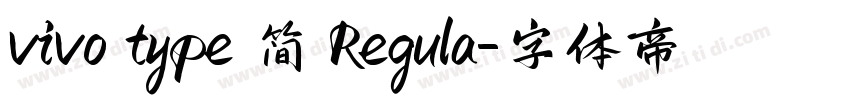 vivo type 简 Regula字体转换